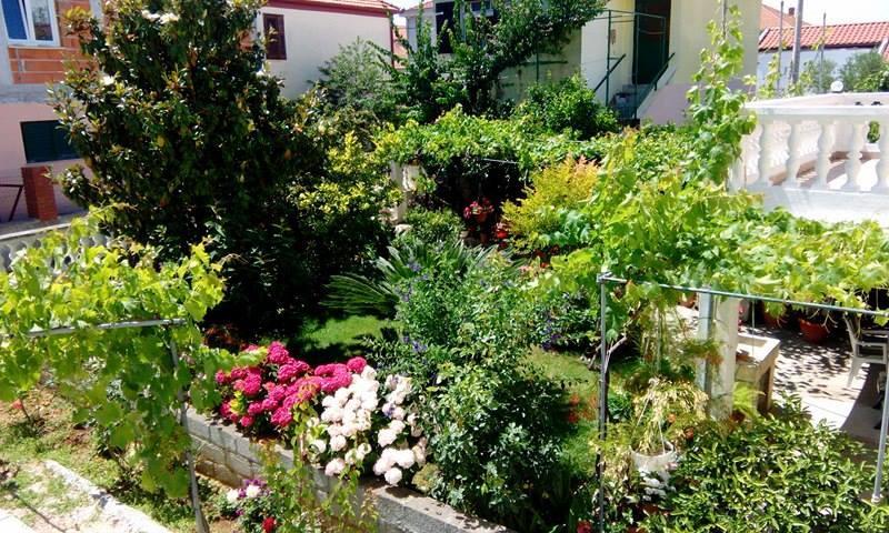 Apartment Matovina Zadar Dış mekan fotoğraf